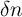 \delta n \delta n