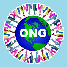 Nouvel ouvrage de Bruno Cazenave : le management des ONG - OMNES Education